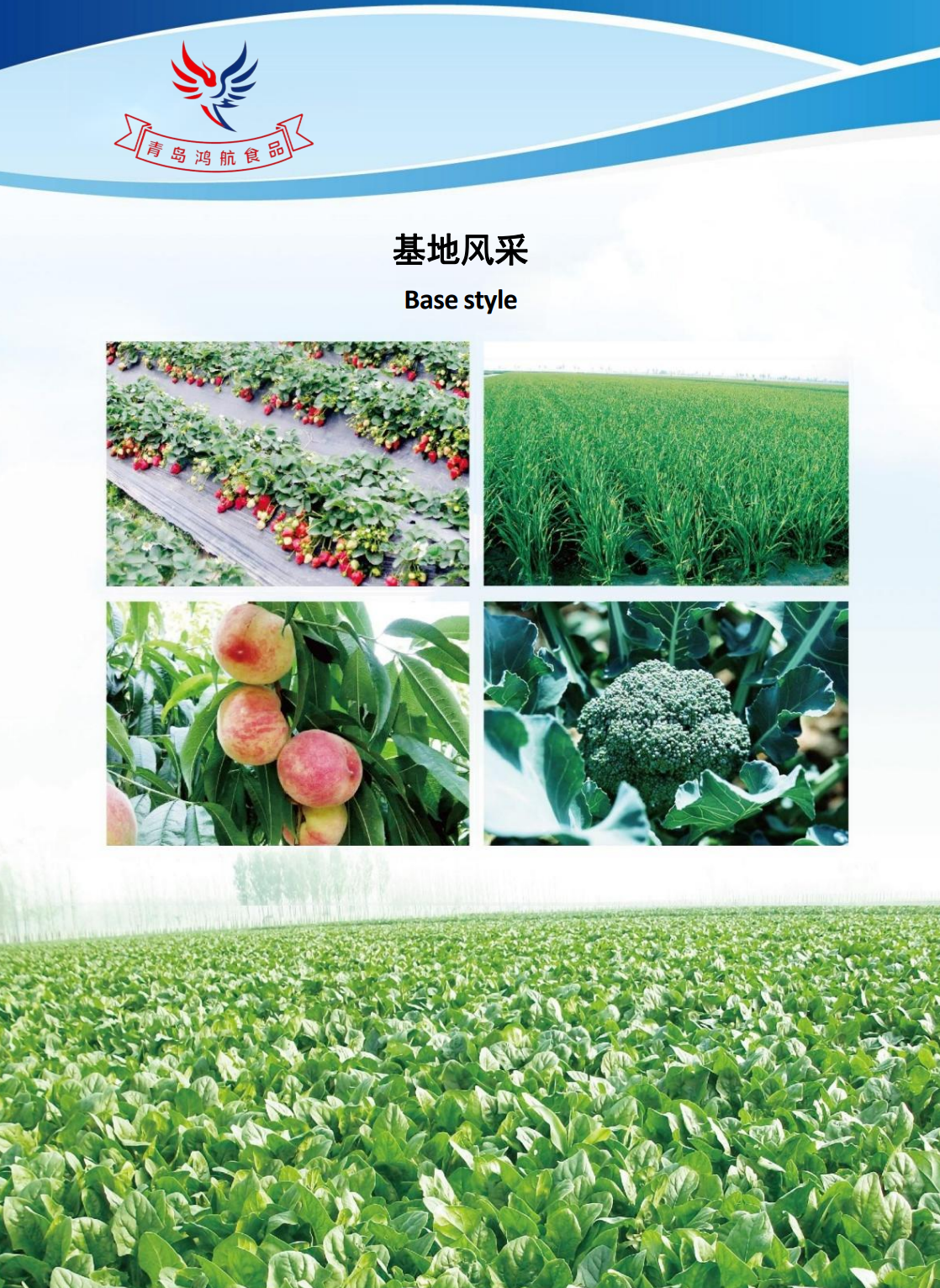 af2e1811-10e1-4e92-ba08-c0f6f42634b0